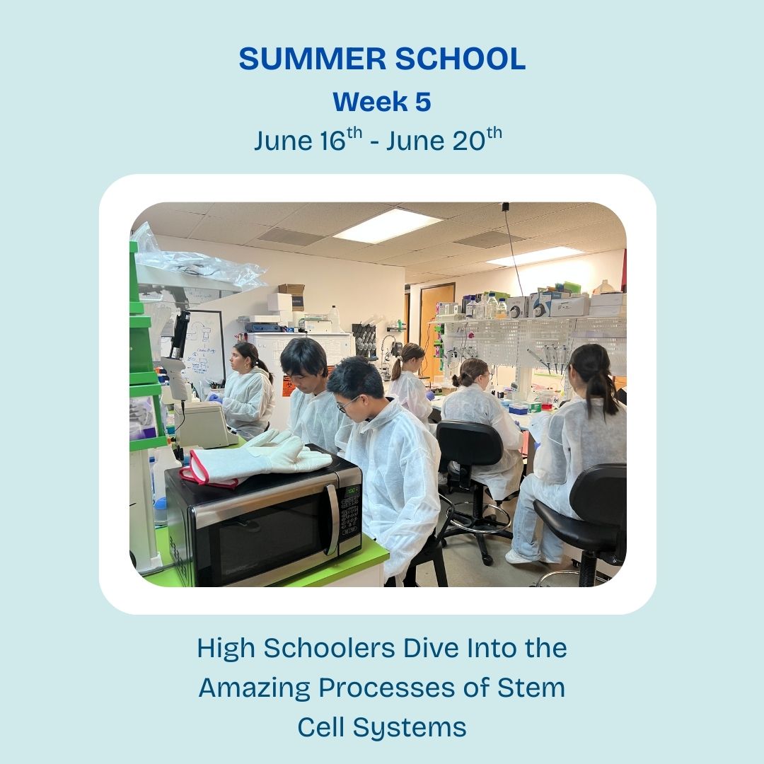LABiotechCenter's tweet photo. Week 5! Highschoolers had an exciting week at @LABiotechCenter learning all about stem cell systems! 🧬🔬
They cultured cells, ran bioassays, and explored cancer stem cell behavior.
#STEM #Biotech #FutureScientists #SummerSchool #HandsOnScience
https://t.co/w20IbpJ9yT https://t.co/p3aLcS559g