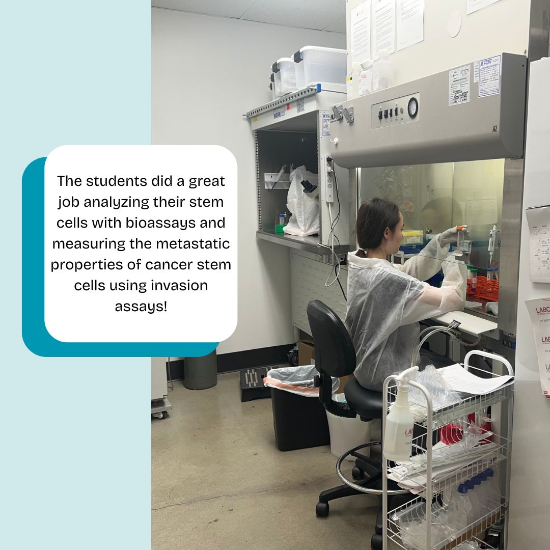 LABiotechCenter's tweet photo. Week 5! Highschoolers had an exciting week at @LABiotechCenter learning all about stem cell systems! 🧬🔬
They cultured cells, ran bioassays, and explored cancer stem cell behavior.
#STEM #Biotech #FutureScientists #SummerSchool #HandsOnScience
https://t.co/w20IbpJ9yT https://t.co/p3aLcS559g