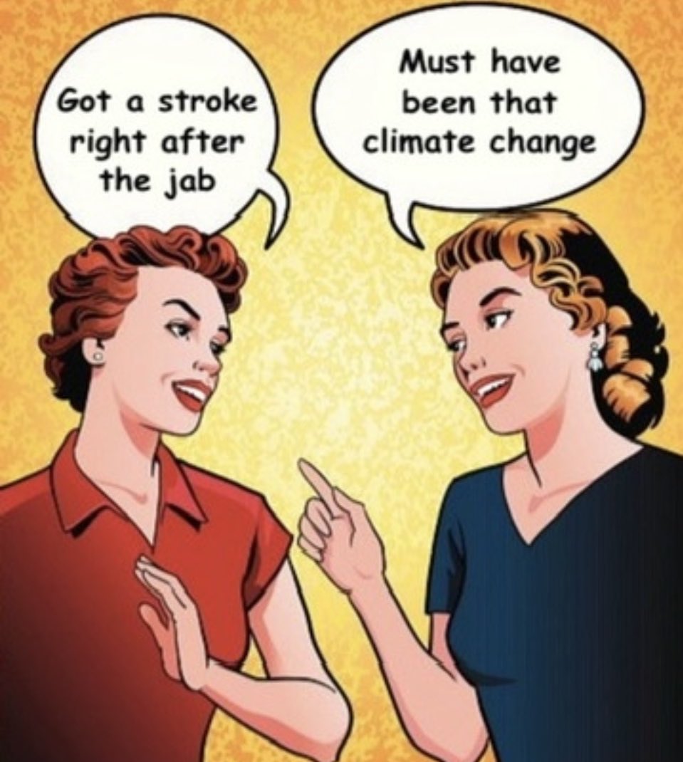 Liz Churchill tweet media