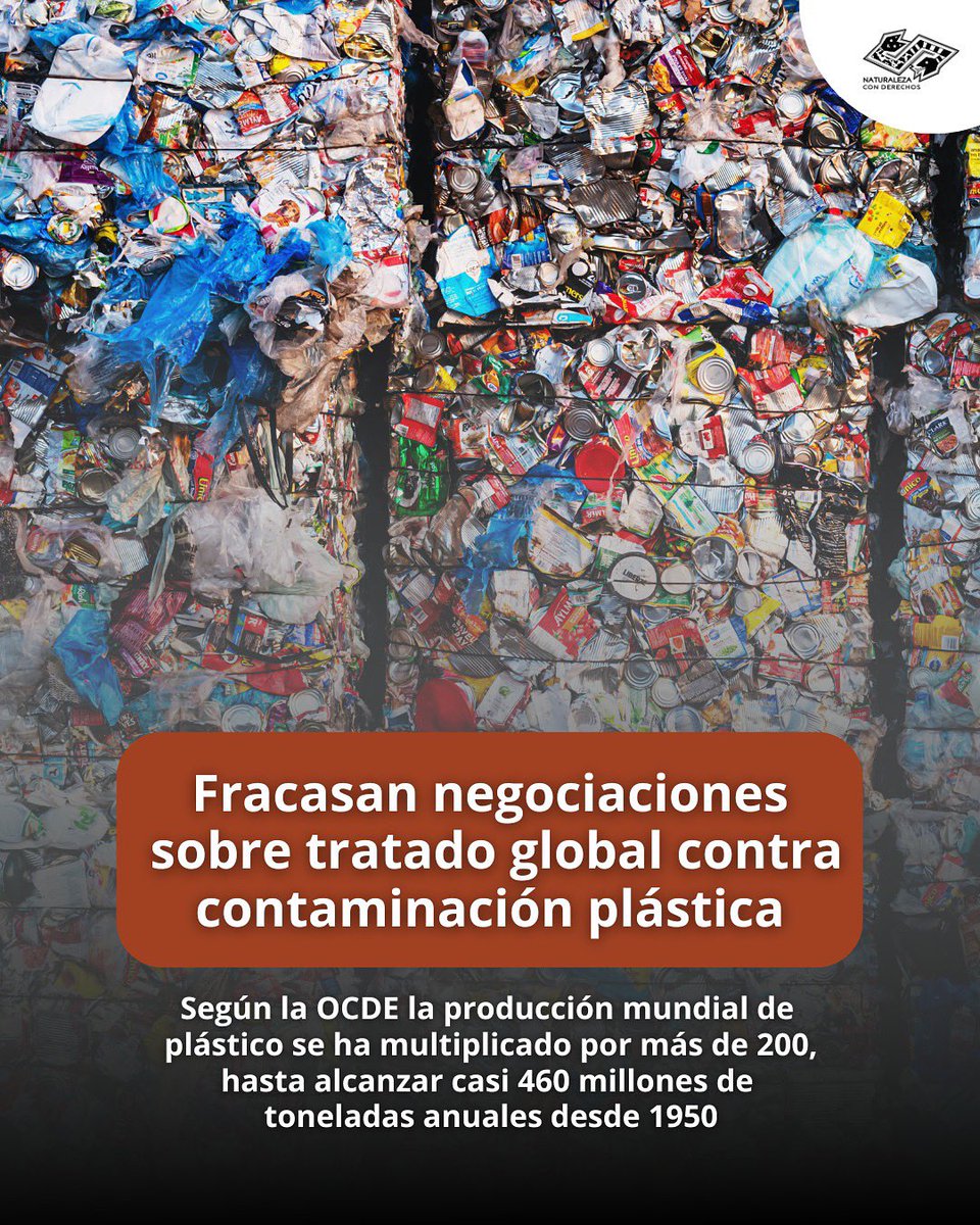 🔴El delegado de Tuvalu dijo sentir “una profunda decepción”, hablando en nombre de los pequeños Estados insulares que recogen en sus costas la contaminación plástica arrastrada por el océano.

Leer más ⬇️
naturalezaconderechos.org/2025/08/15/fra…