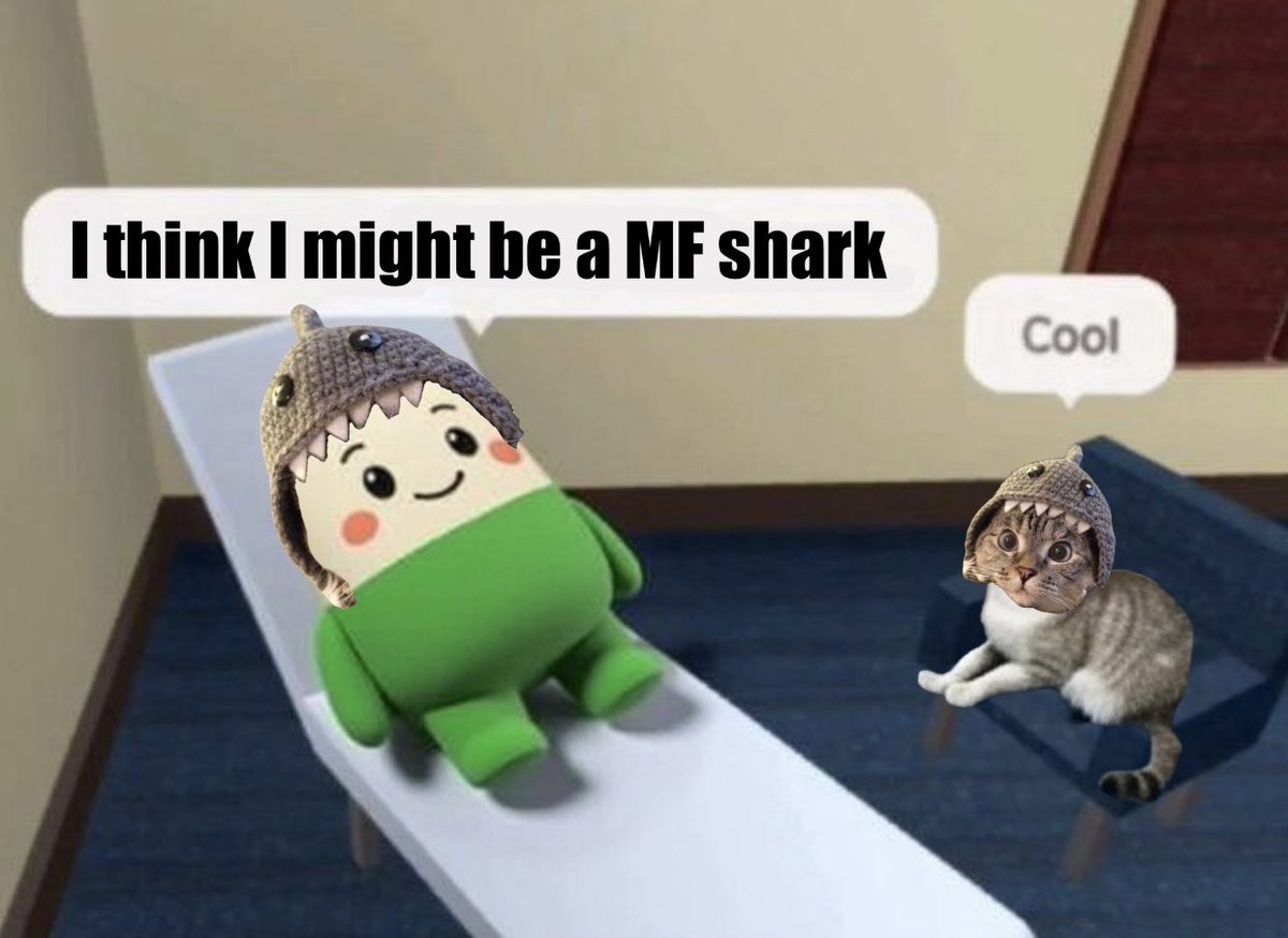 Shark Cat 🦈🐱 tweet media