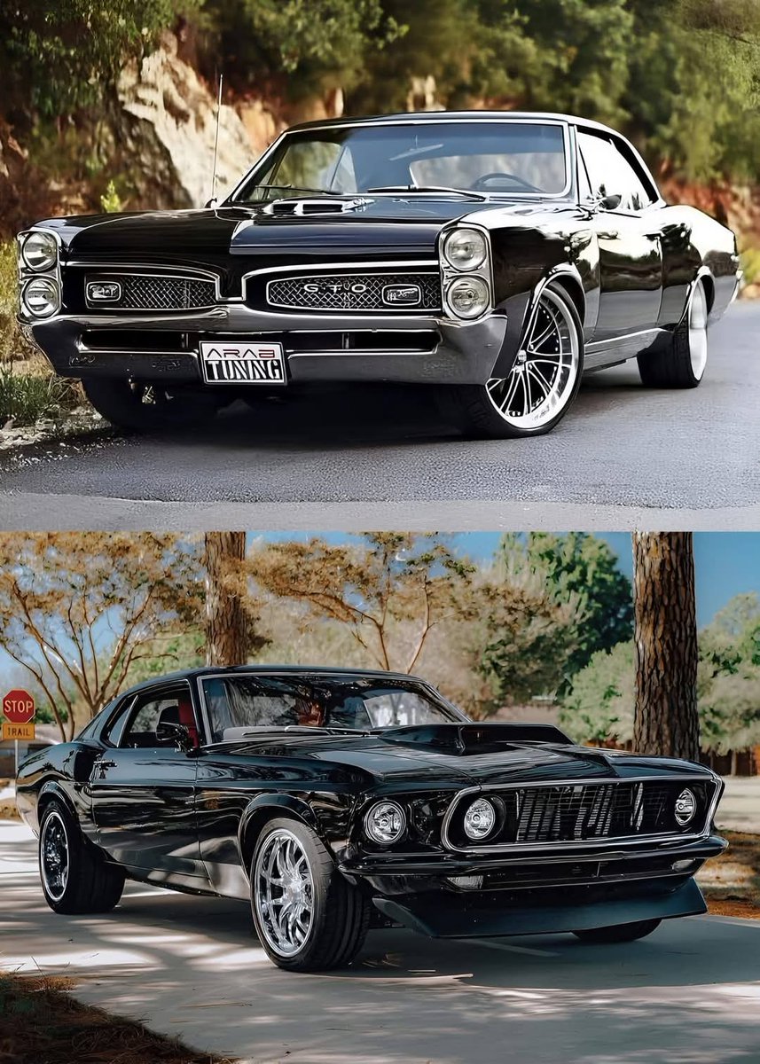 Top or Bottom 🤔
