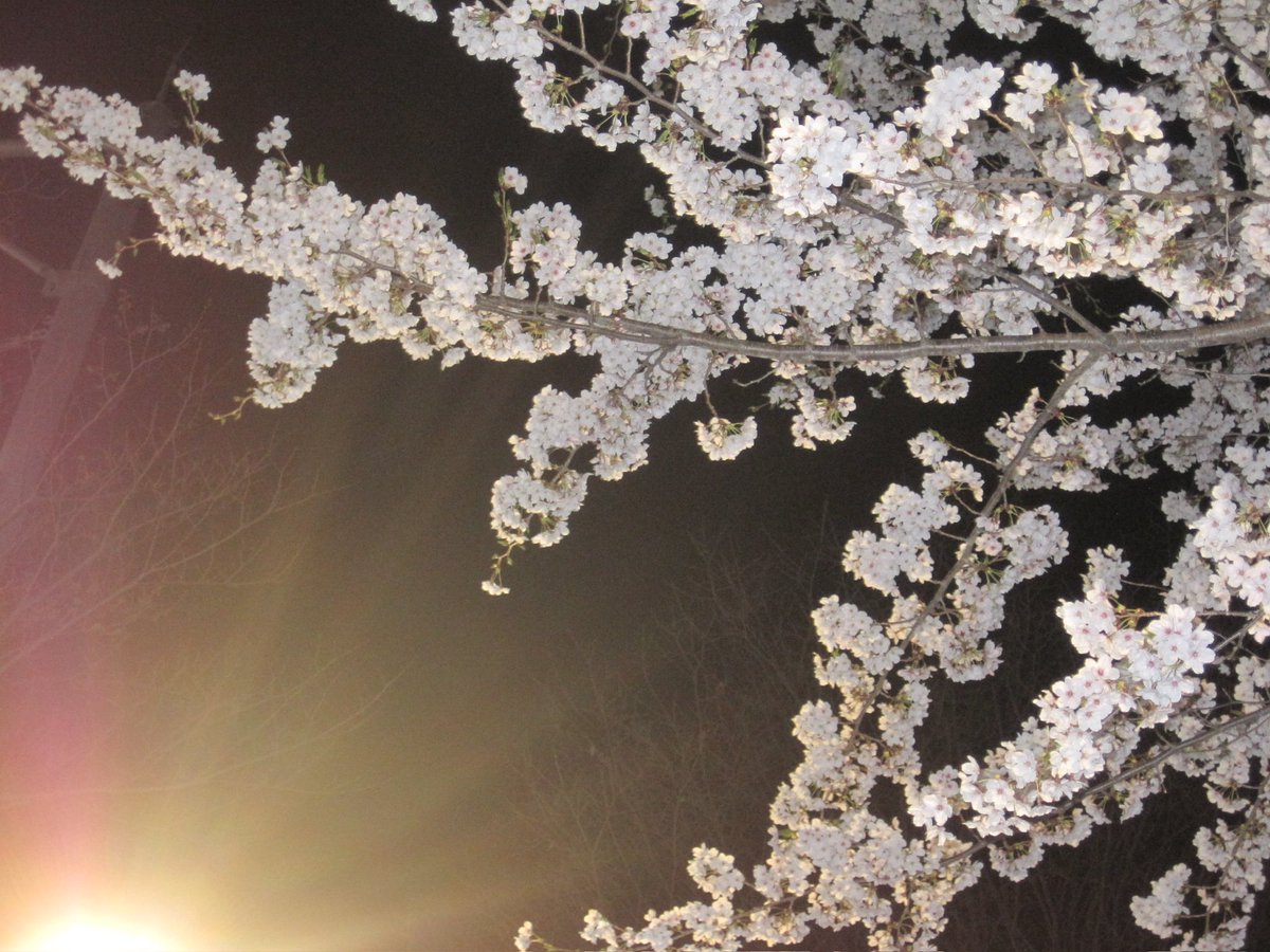 작례를 올려야..하는데
나가지를않아서
예전사진을 계속계속