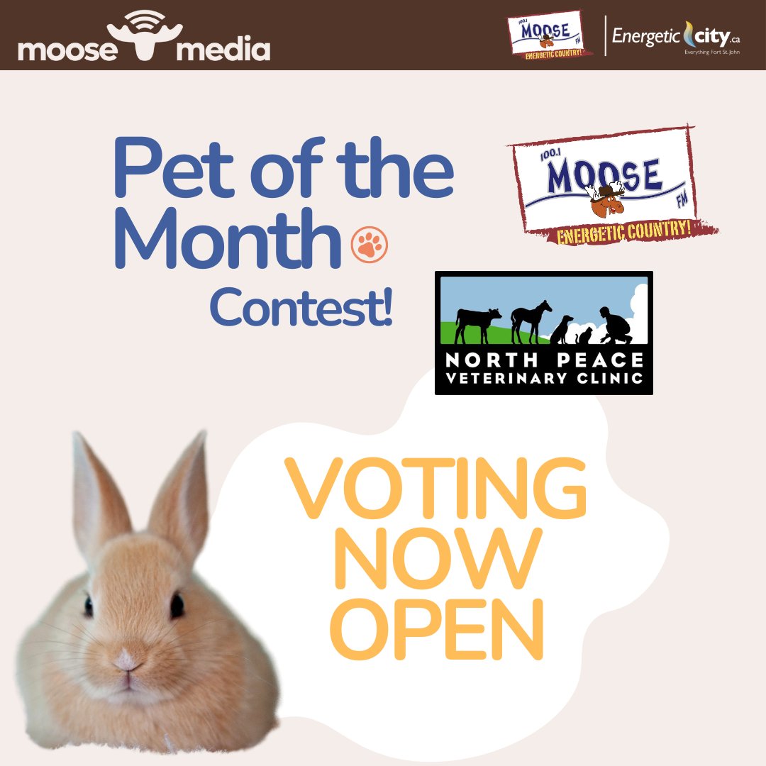 📣Vote Now!📣

You can win a $100 credit to the North Peace Veterinary Clinic if your pet is crowned Pet of the Month! 

moosemediafsj.ca/blog/2025/07/0… 
.
.
#Petofthemonth #cutestpet #yxj #northpace #fortstjohn