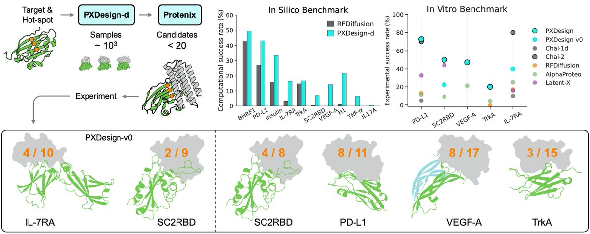 Introducing 𝗣𝗫𝗗𝗲𝘀𝗶𝗴𝗻 — fast, modular, accurate de novo binder design.
🧪 Wet-lab: 20–73% nanomolar hits on 5 targets; 2–6× vs AlphaProteo.
👀 Project: protenix.github.io/pxdesign/ 
⌛️ 𝗦𝗲𝗿𝘃𝗲𝗿 𝗴𝗼𝗲𝘀 𝗹𝗶𝘃𝗲 𝗼𝗻𝗰𝗲 𝗮 𝗺𝗶𝗻𝗼𝗿 𝗹𝗼𝗴𝗶𝗻 𝗶𝘀𝘀𝘂𝗲 𝗶𝘀 𝗳𝗶𝘅𝗲𝗱.