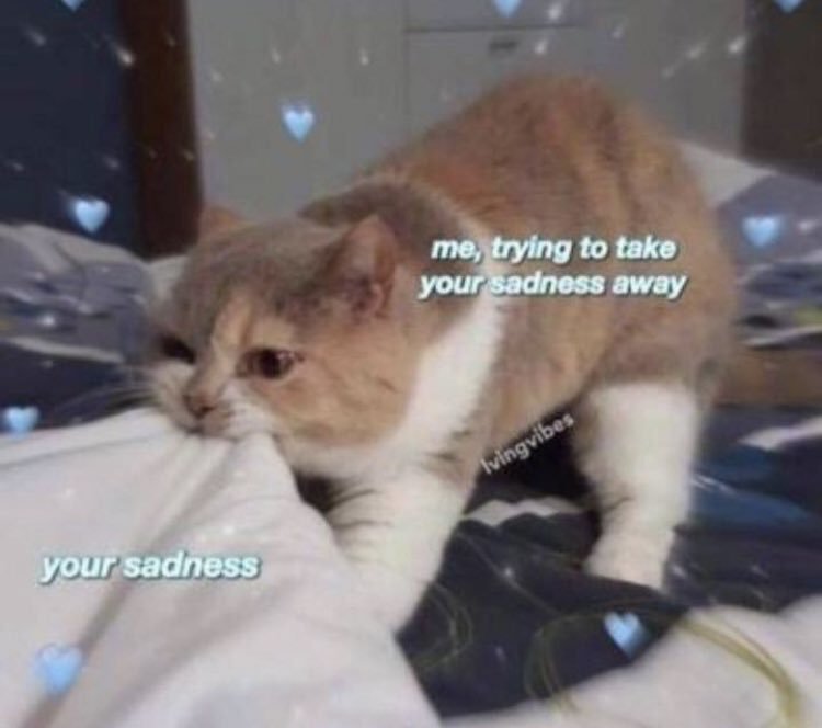 kholys.bsky.social tweet media