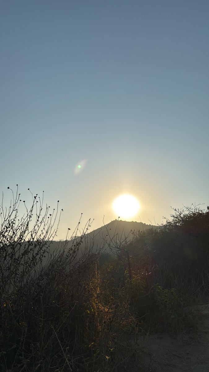 A few days in la, already longing for my city dungeon