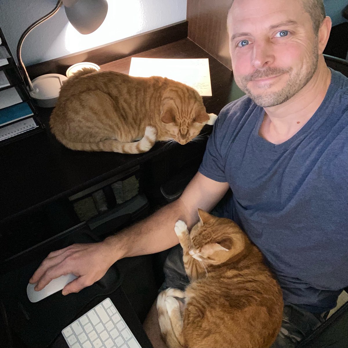 Cole & Marmalade tweet media