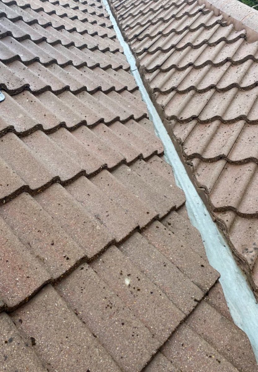 SpinnerJet's tweet image. Can our roof cleaning team help you? 

We are based in #Edenbridge #Kent