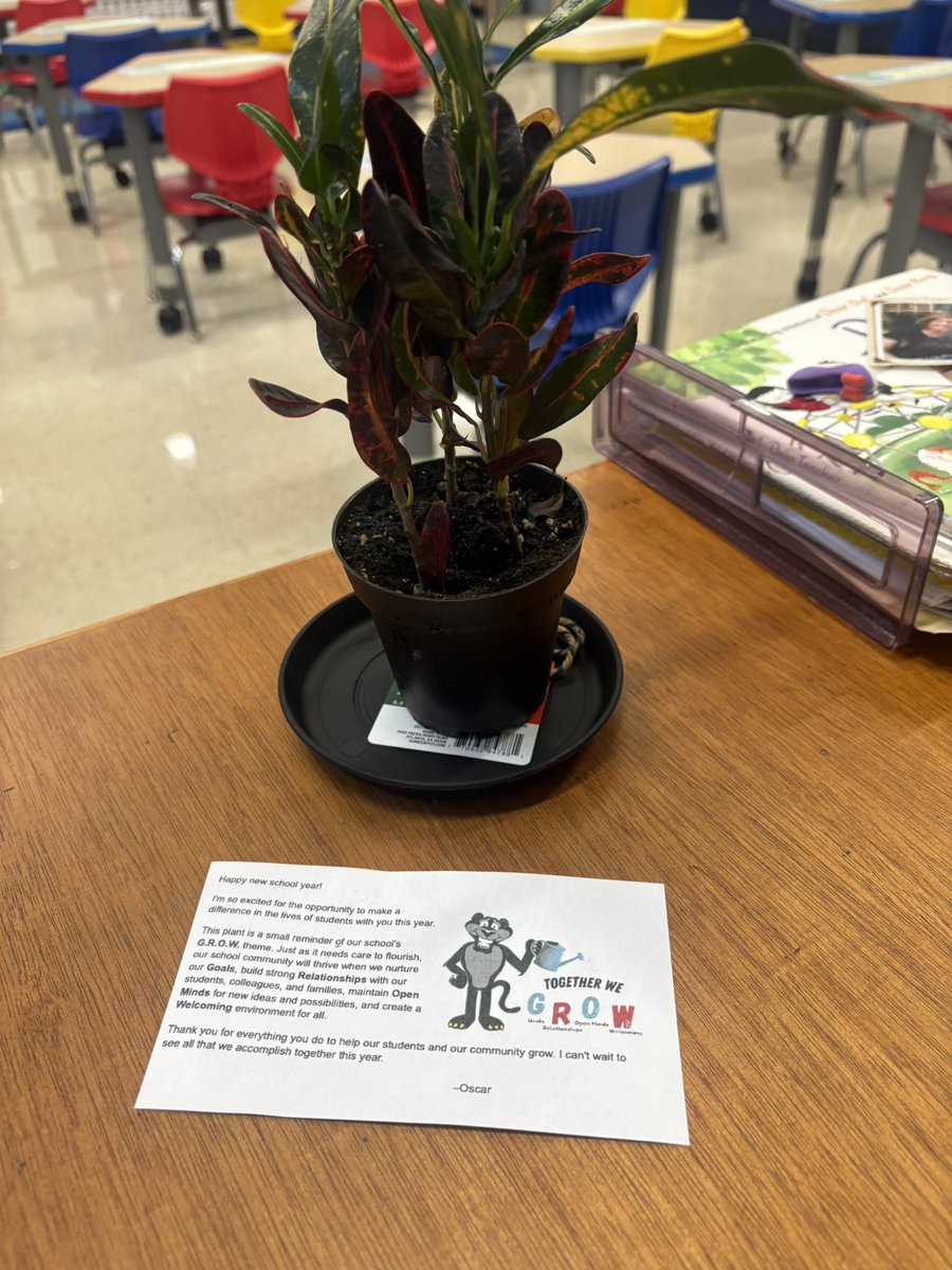 Oscar Suarez tweet media