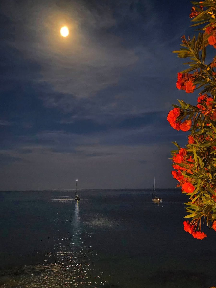 Sueño de una noche de verano.

#Fuerteventura #MorroJable #Pájara #MisViajes #MisRecuerdos #Sueños #Dreams #Verano #Noche #Night #NocheDeVerano #SummerNight  #Summer #Summersdream #amidsummernightsdream #Canarias #IslasCanarias #CanaryIslands #LatitudDeVida