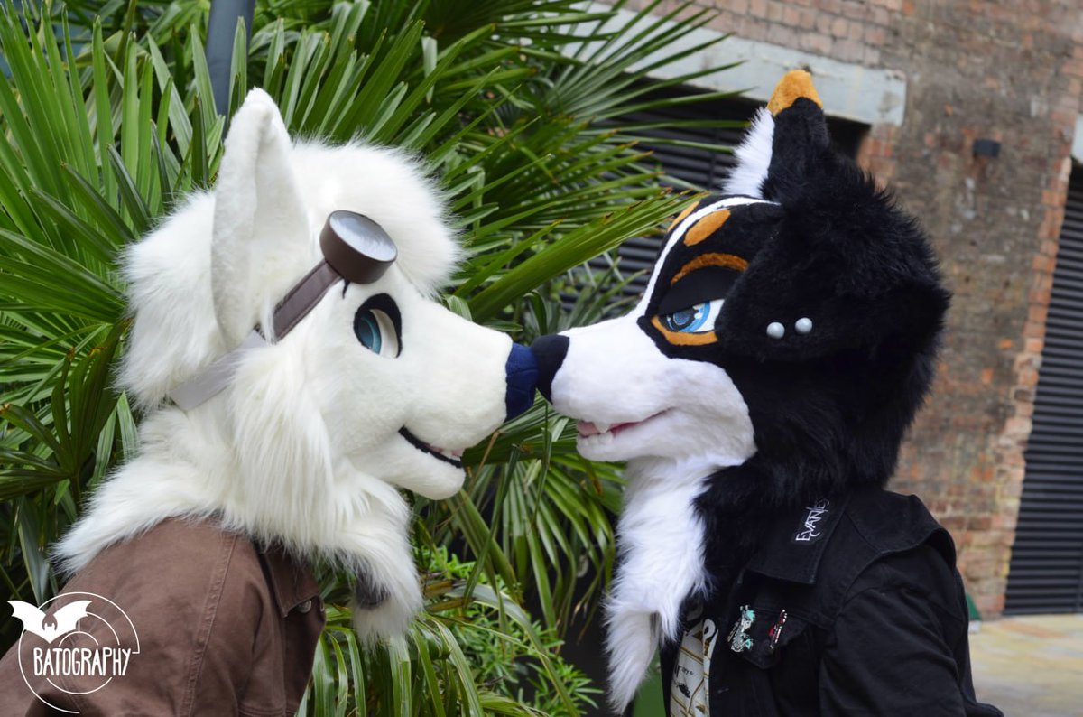 Boop the <a href="/WednesdayWeird1/">Wednesday!</a> snoot! #FursuitFriday 
✂️- <a href="/GoFurItstudios/">Go Fur It</a> 
📷- <a href="/dutchthebat/">Dutch The Bat</a>