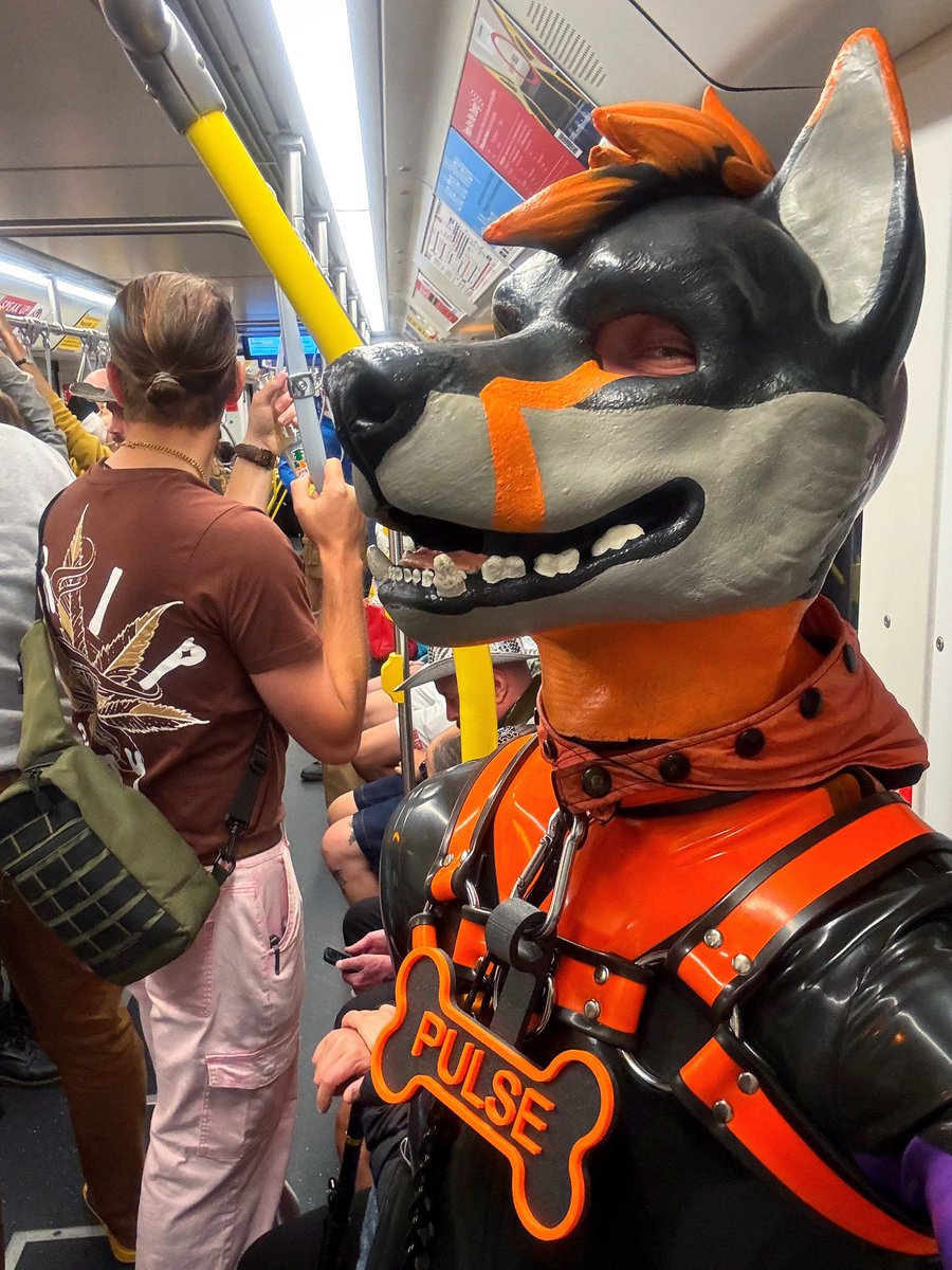 Hybrid returns to work 🐕🐆 

#fullsuitFriday #rubberfur