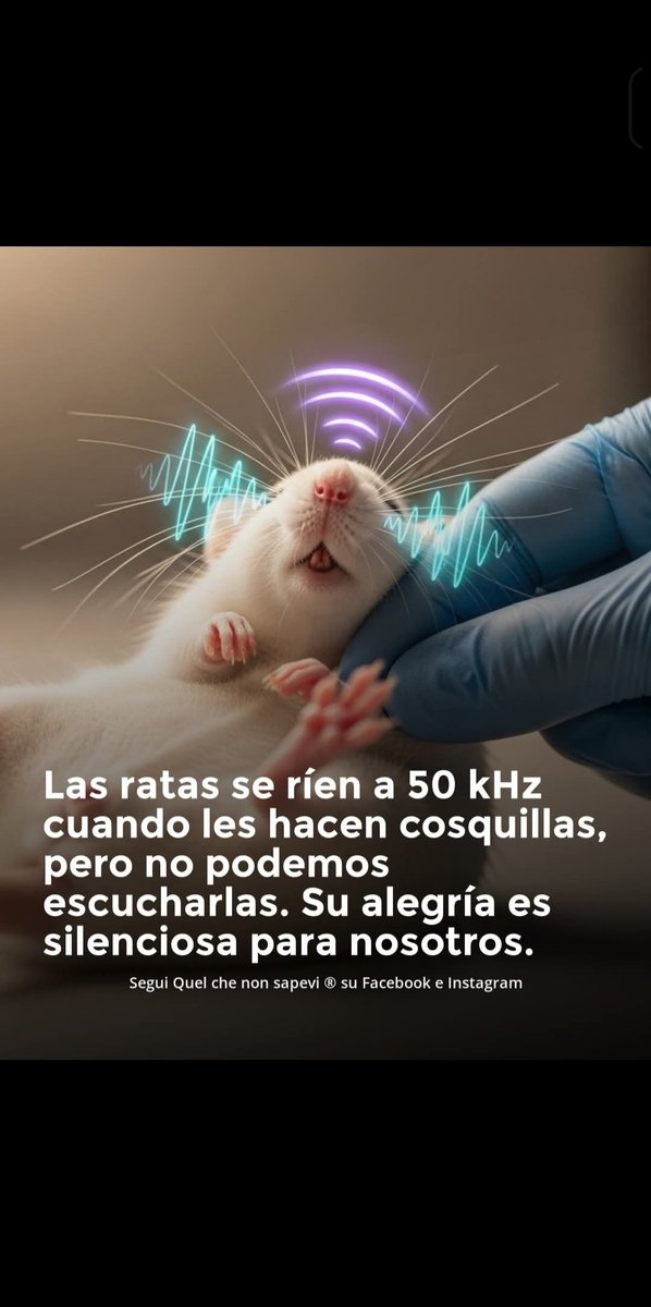 Con razón no alcanzo a escuchar la risa de los diputados y senadores.