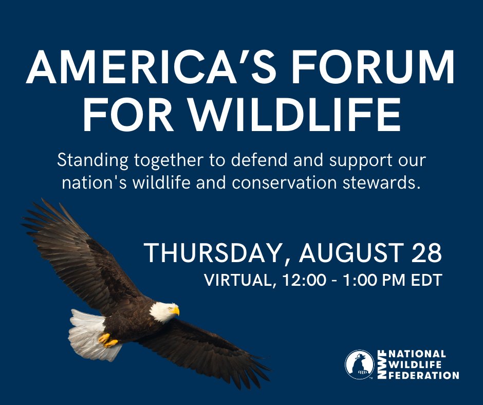 wildlifeaction's tweet photo. Join @NWF & partners at the Virtual Forum for Americaβs #Wildlife! π¦
π¦π¦¬
#StandUpForWildlife on August 28, 12pm ET.
Register now π²: https://t.co/CiKzFMidQl https://t.co/qwpLJagwLN