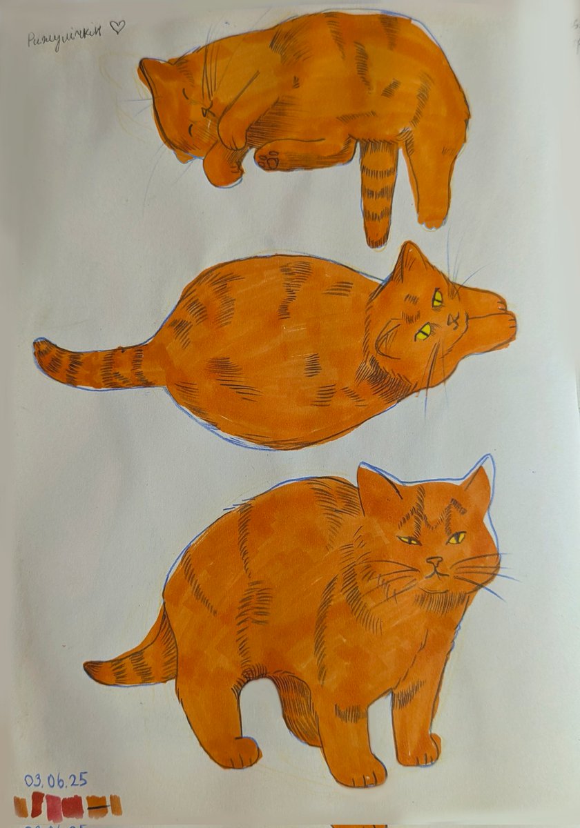 Найкраща модель. 🧡
#украрт