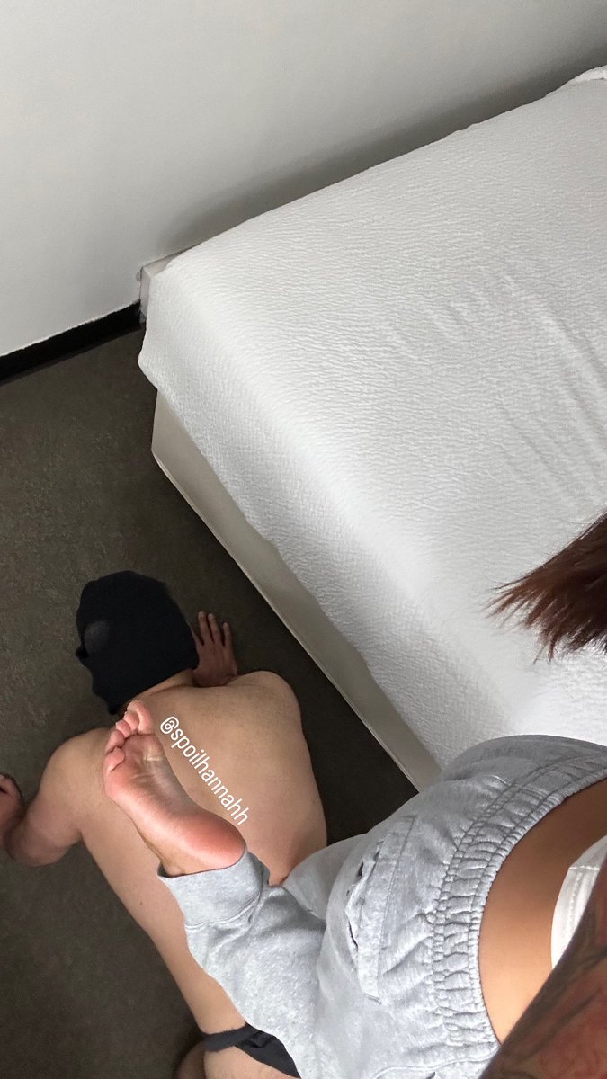 Spoilhannahh's tweet photo. Sam knows he belongs with the rest of you mutts under my feet 😘 https://t.co/BTjGxJD4Ld