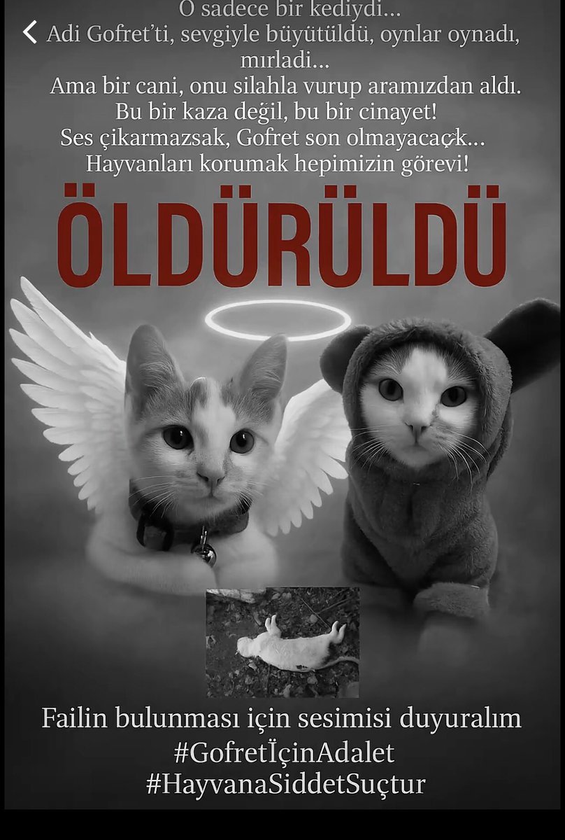 @r3dr0z Gofret için yeterince ses çıkaramıyoruz lütfen daha fazla yayılmasına destek olur musunuz gören herkes rtlesin ❗️Gofret Çorum merkez gülabibey mahallesinde evlerinin bahçesinde oynarken kimliği belirsiz şahıs tarafından ateş edilerek öldürüldü. #gofretinsesiol #gofreticinadalet