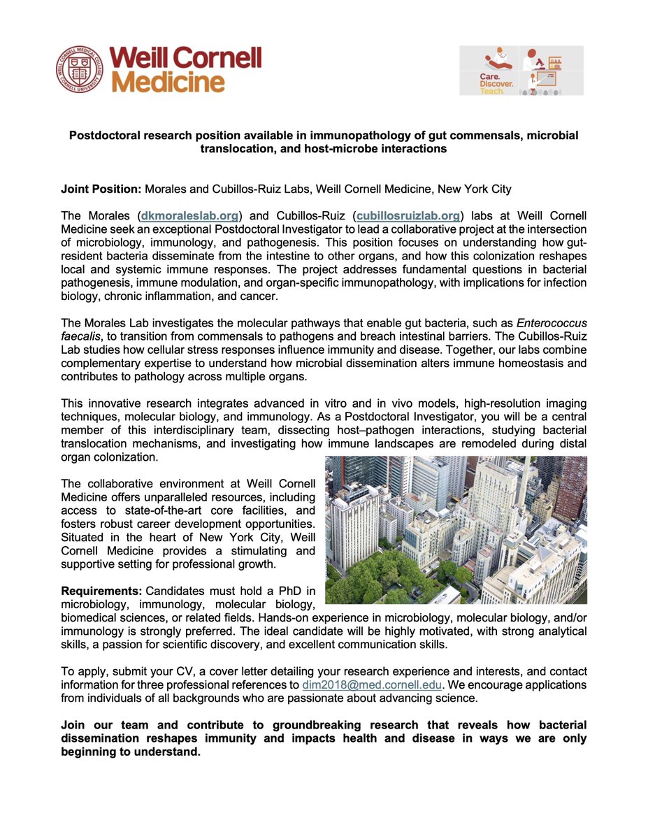 Diana K. Morales (@dianakmoralesg) on Twitter photo 🥼Opportunity for a Postdoctoral Researcher in Immunology & Microbial Pathogenesis! Join our team <a href="/WeillCornell/">Weill Cornell Medicine</a> in #NewYork to investigate how bacteria that escape the gut shape immunity and drive disease. Details below 👇 🥼Opportunity for a Postdoctoral Researcher in Immunology & Microbial Pathogenesis! Join our team <a href="/WeillCornell/">Weill Cornell Medicine</a> in #NewYork to investigate how bacteria that escape the gut shape immunity and drive disease. Details below 👇