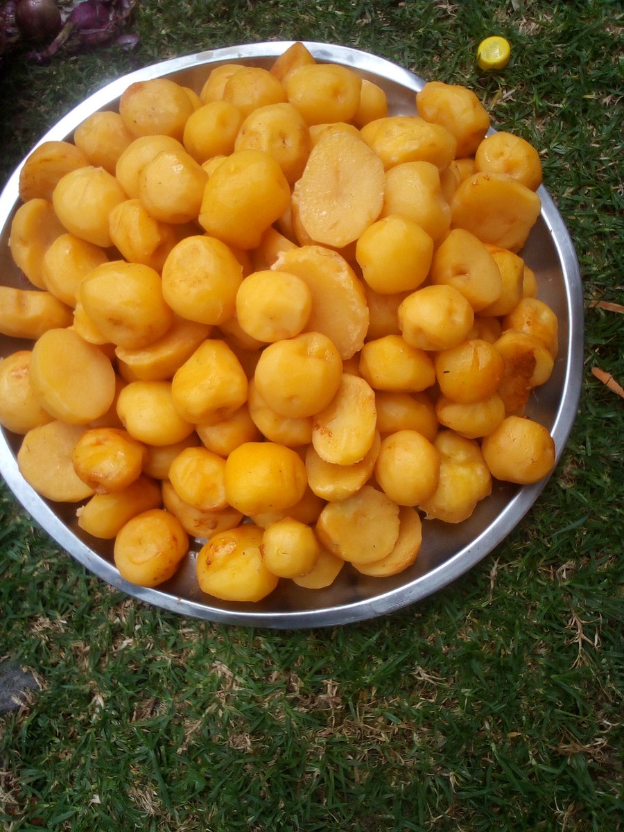 Kisoro Concern For Marginalized People Organisatn tweet media