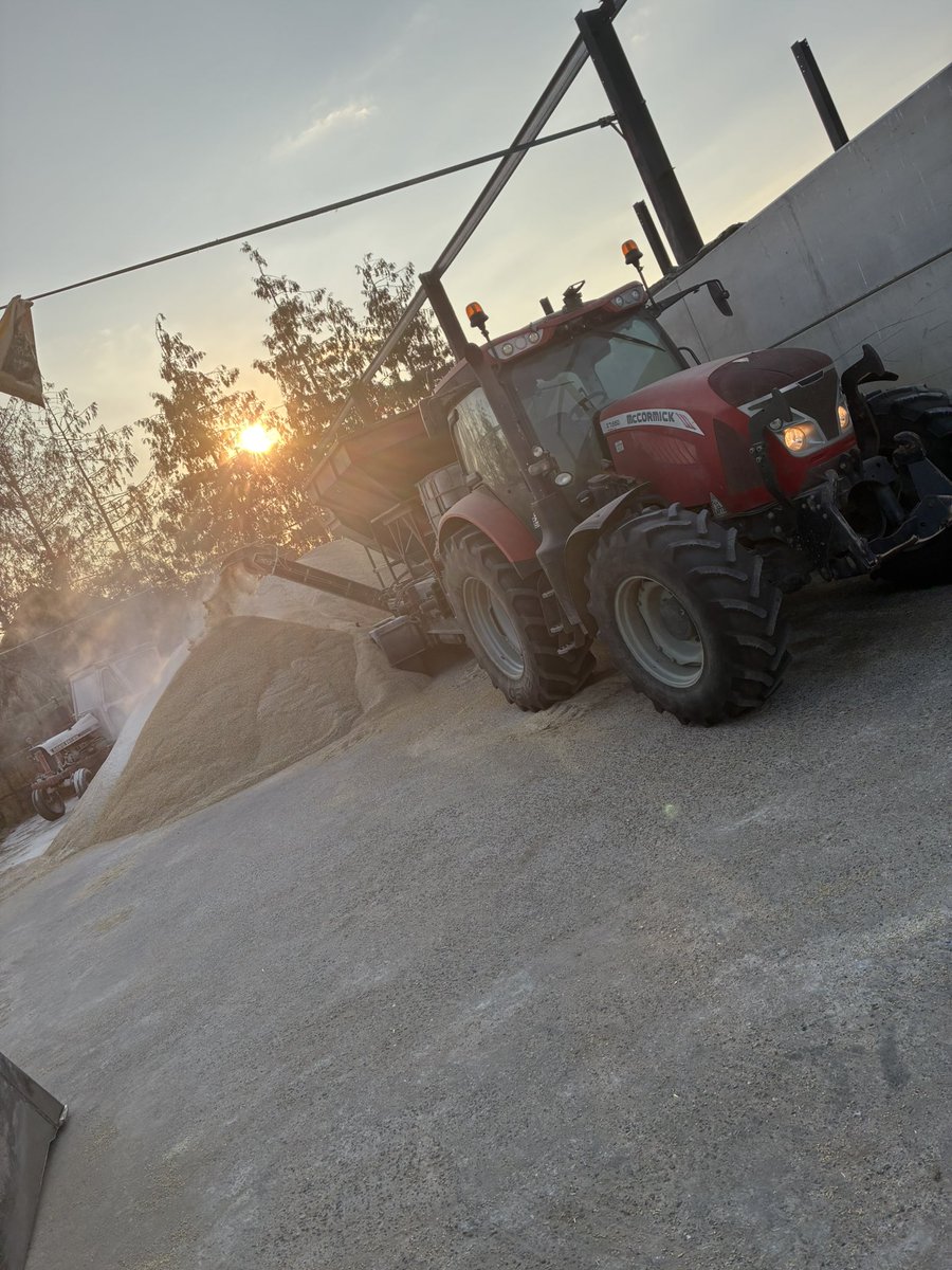 Now I’m finished combining I need ti find another way to just get as itchy , productive Friday loaded straw Lorries , moved some beans from mine to dads to mill and then come out to roll 45 tonne for a customer this evening