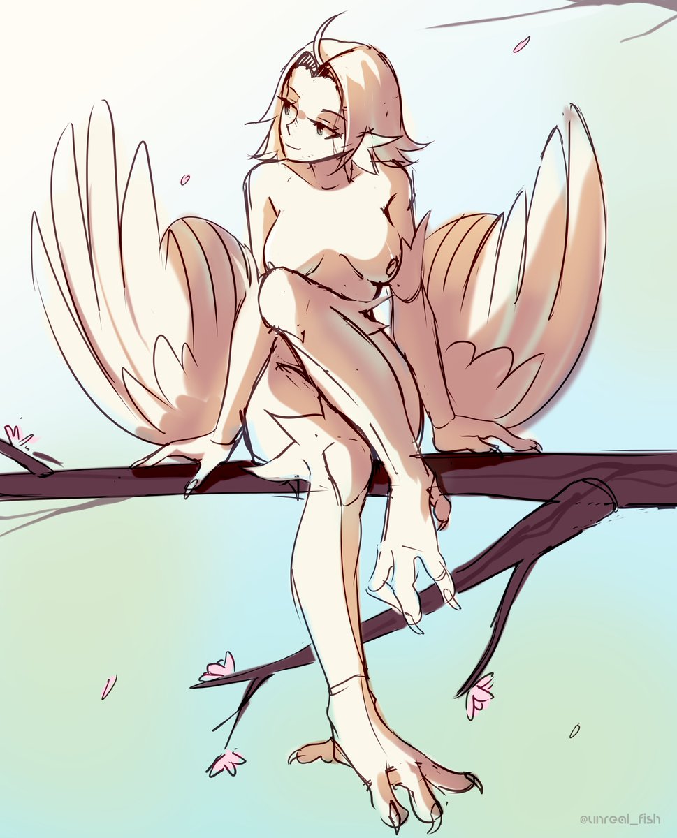 sunny harpy sketch
