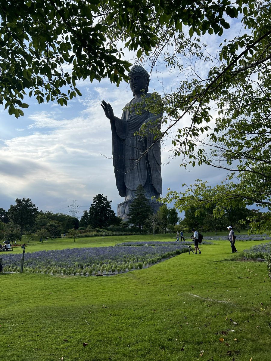 4649Datensi's tweet photo. 念願の牛久大仏

副作用なのか全く寝れない。👻 https://t.co/eHWfSy1GYp