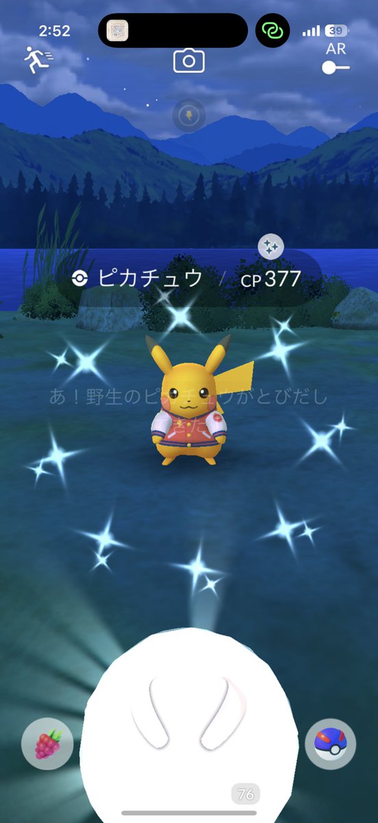 piiisk215's tweet photo. ピカチュウ♂♀コンプ✨
#ポケモンGO https://t.co/wWCFXaWq7x