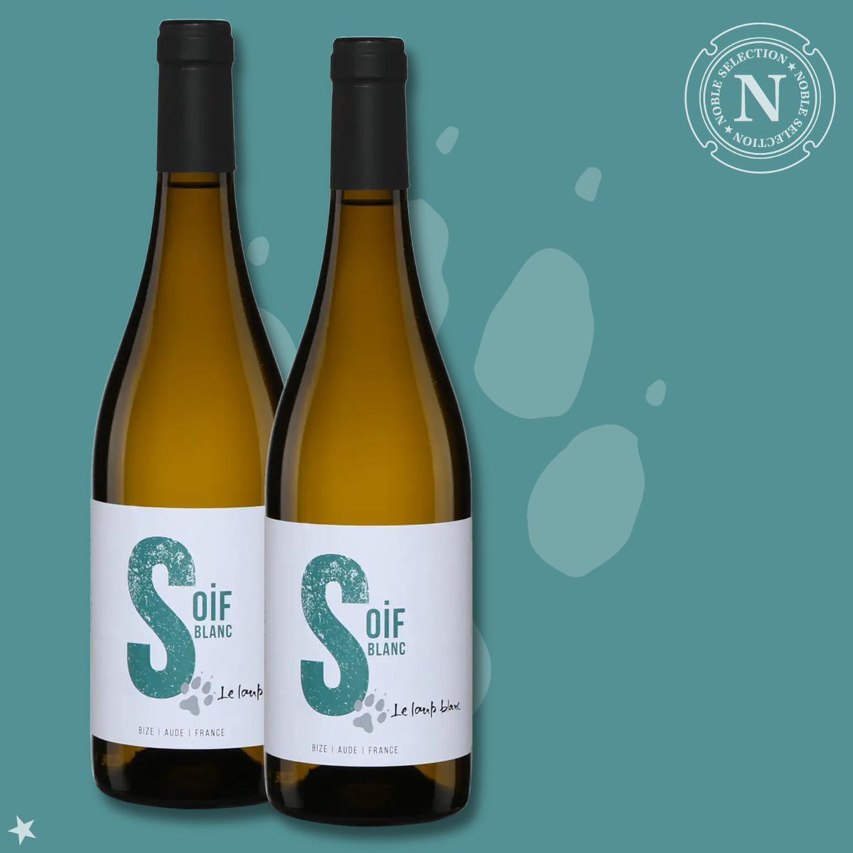 Soif Blanc 2023 : un vin de soif signé <a href="/LeLoupBlancBio/">VignobleLoupBlanc</a> : maintenant disponible à @LaSAQ_Officiel
Il s’ouvre sur des arômes d’agrumes, de fruits à chair blanche et de fleurs blanches.
Dispo dans plus de 80 succursales et sur SAQ.com ici ⟶ saq.com/fr/15464203