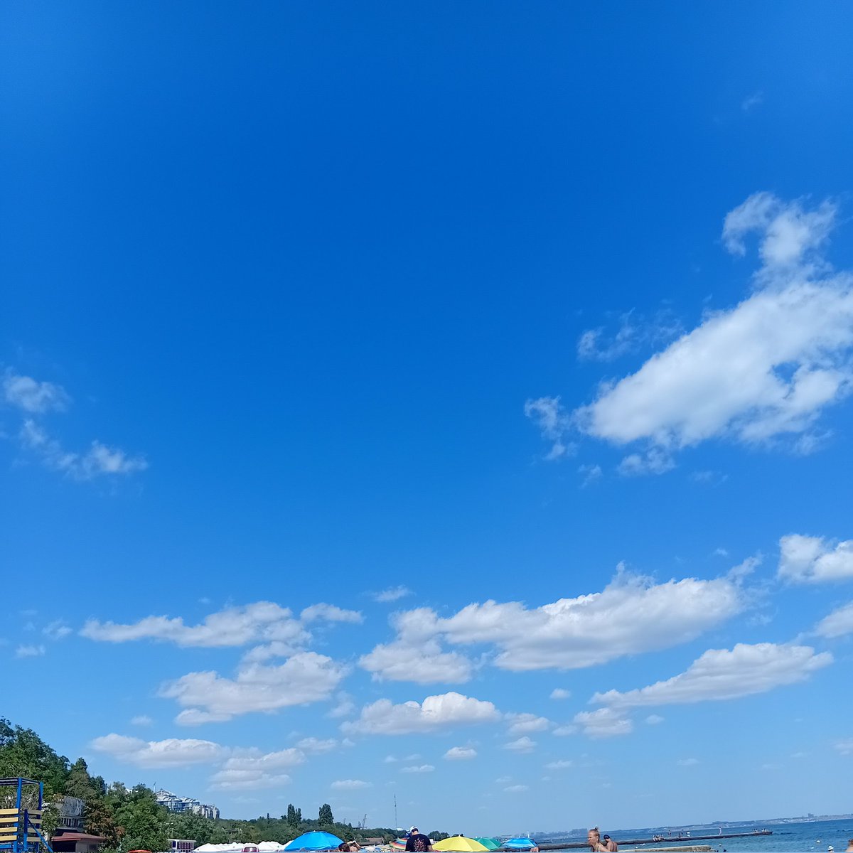 Катерина Галич tweet media