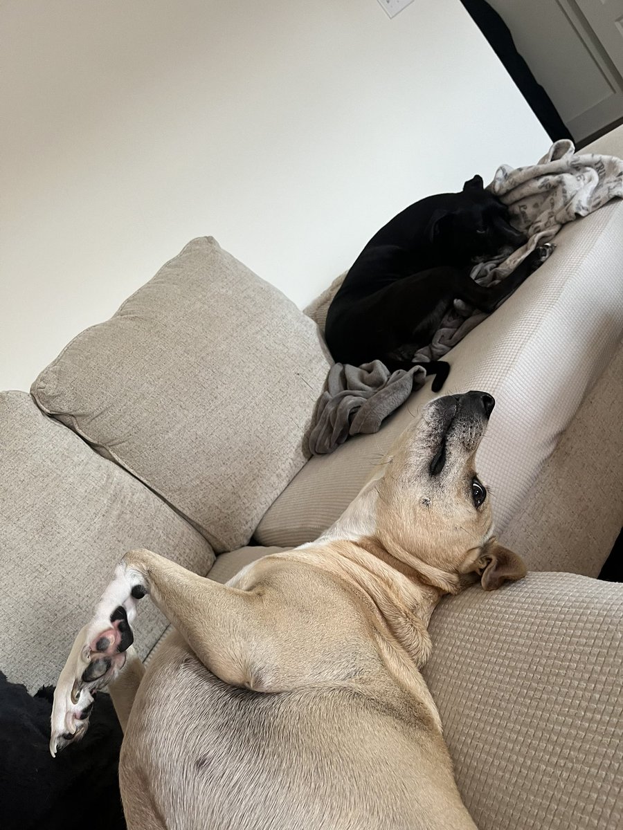 Scott Carpenter tweet media