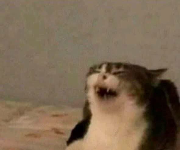 Make us a Lululemon school.