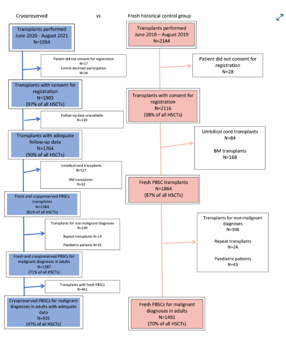 ASTCT_Journal's tweet photo. The effects of graft cryopreservation on patient outcomes in allogeneic HCT remain unclear. This UK study of cryopreserved vs. fresh allogeneic HCT found no statistically significant difference in overall survival at 12-month follow-up. For more: https://t.co/NWTq6pmwFk https://t.co/B97vNv9lOX