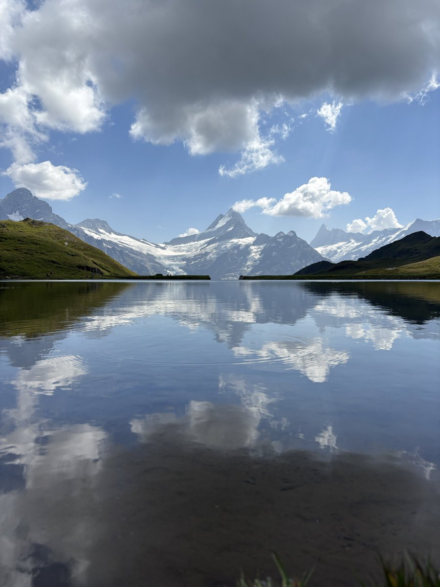 Never Down tweet media