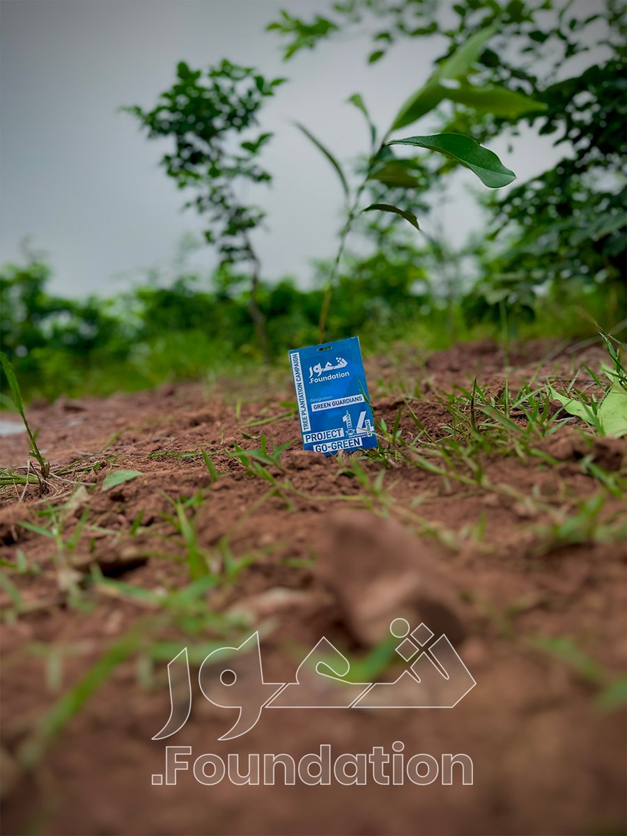shaourfdn's tweet photo. :

🌿 Greening Pakistan, One Tree at a Time 🌿
Our Shaour Foundation Go Green heroes are turning soil into hope and saplings into a sustainable future.
Together, we plant not just trees — we plant life. 💚🇵🇰
#GoGreenWithShaour #PlantForPakistan #ShaourFoundation #GreenPakistan https://t.co/WYRtmFue6h
