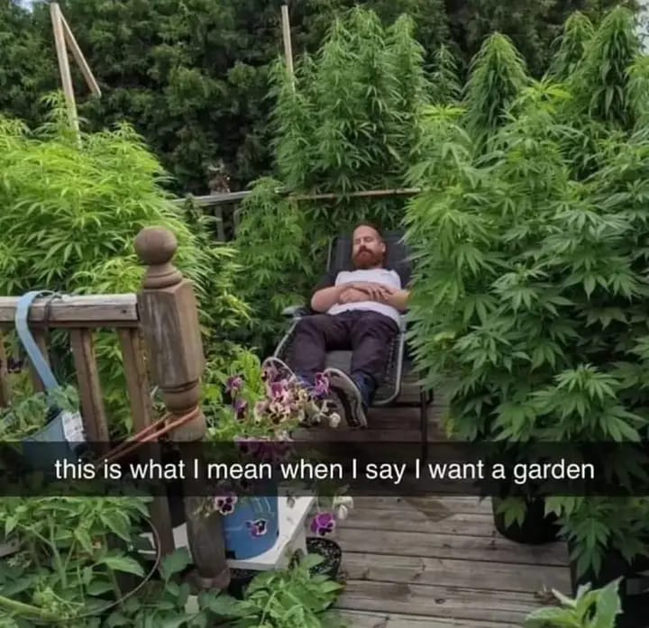 Stoner Jesus™ (@stonerjesus420) on Twitter photo 