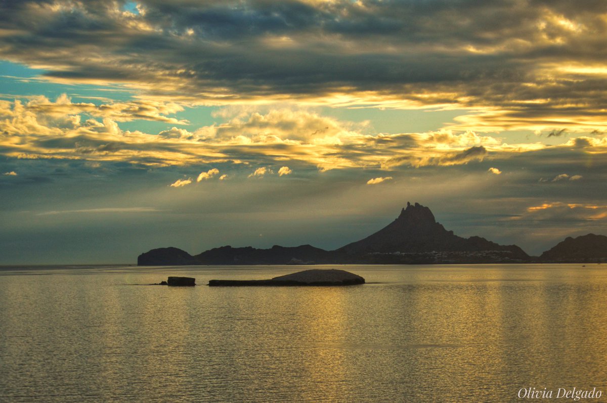 OliviaDelgado79's tweet photo. Rara vez nos damos cuenta de que estamos rodeados por lo extraordinario 
#Sonora #SanCarlos 
@ocvguaymas @VisitSonora https://t.co/D4ICevkYBC