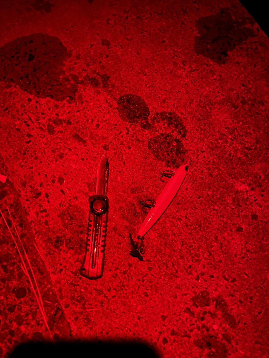 殉職しかけたルアーを救出🔪