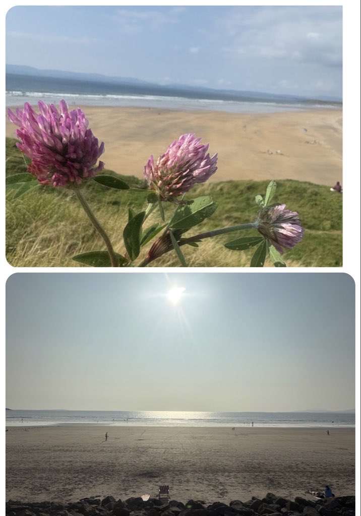 mtully21's tweet photo. #DayIsDone #Donegal has the best beaches in the world… well apart from #Inchydoney in #Cork…
We are blessed to be able to enjoy these #GiftsOfNature.
Happy weekend everyone! https://t.co/x5ixo77nAS