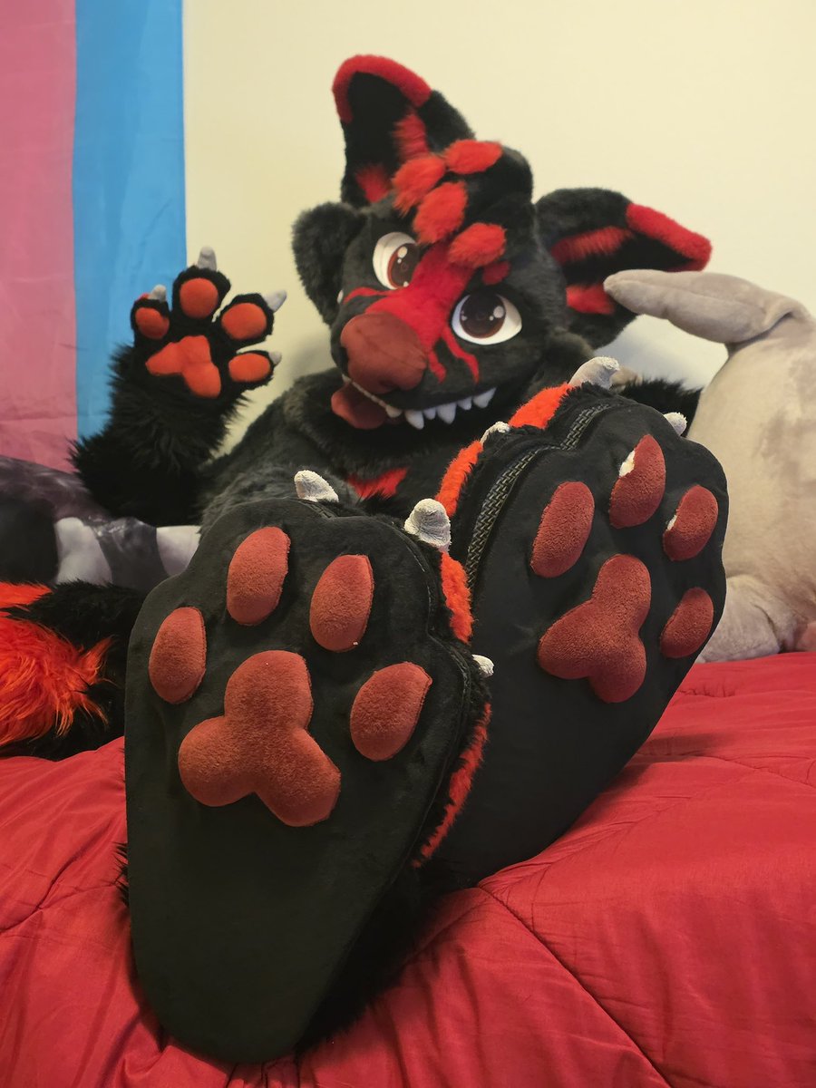 PARA REFURBISH AWAWA
#FursuitFriday