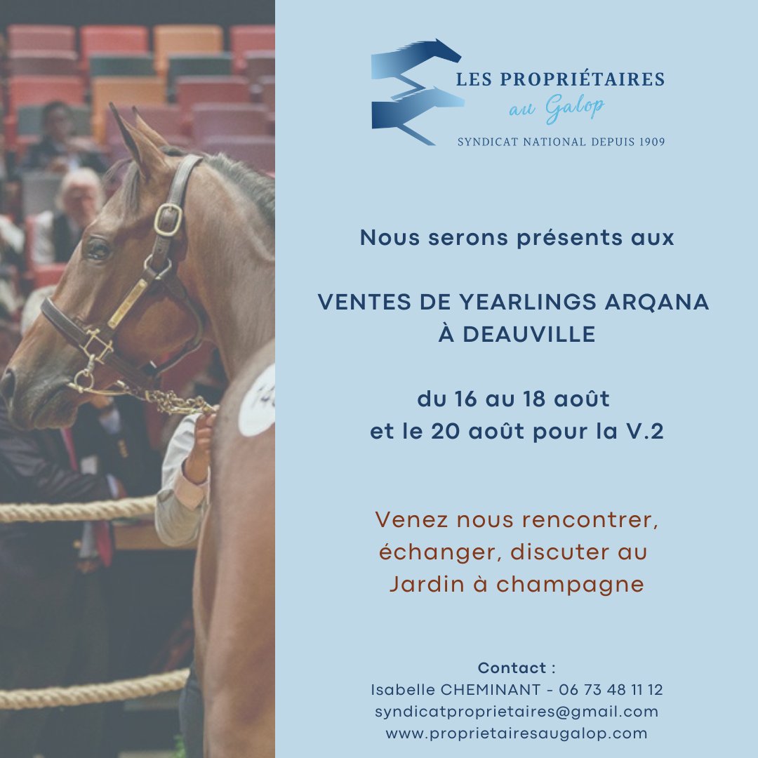 #courseshippiques #galop #ventesauxencheres #hippodrome #Arqana #francegalop #FNCH #deauville #indeauville