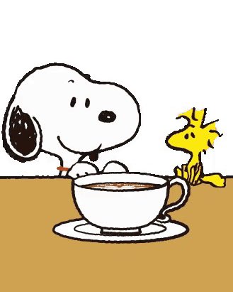 snoomfies's tweet photo. He loves his coffee https://t.co/JC1vQt5Ntw