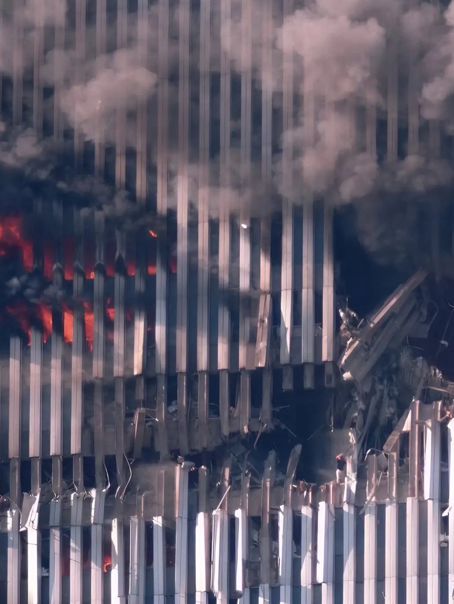 Morbid Knowledge tweet media