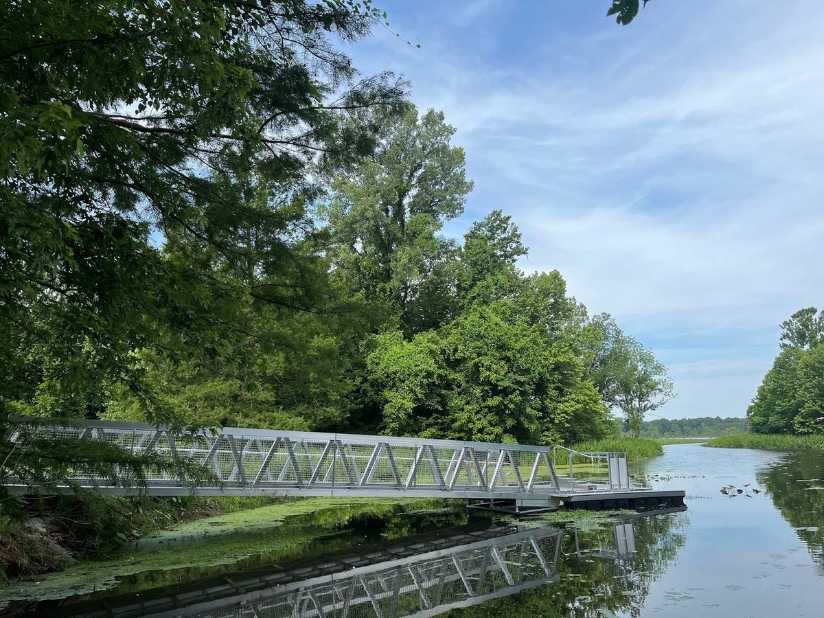 BoardSafe Docks tweet media