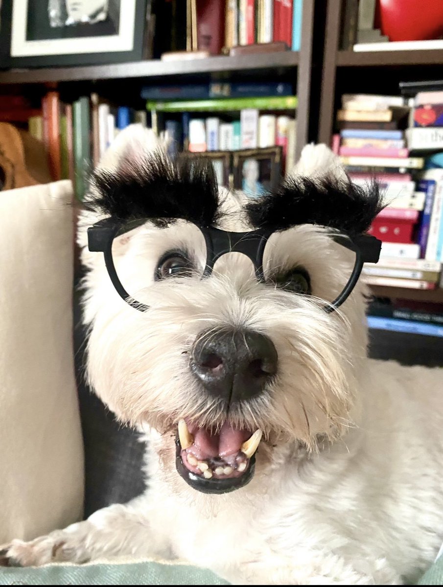 My adorable goofball! I loved Finn’s sense of silliness, and his patience with me making him wear dress up and props. We always had so much fun though. Miss you my darling boy and happy #FinnyFriday