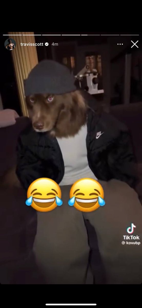 jintoshi (@jintoshii) on Twitter photo $kovu the next dog mooner…. Mark my words…. Viral on TikTok original $monkey team and the owner is on board….. <a href="/SigmaDollarBoy/">Axis Ace ⚜️</a> vouching and he called $kori sub 300k…. Yall aren’t bullish enough $kovu the next dog mooner…. Mark my words…. Viral on TikTok original $monkey team and the owner is on board….. <a href="/SigmaDollarBoy/">Axis Ace ⚜️</a> vouching and he called $kori sub 300k…. Yall aren’t bullish enough