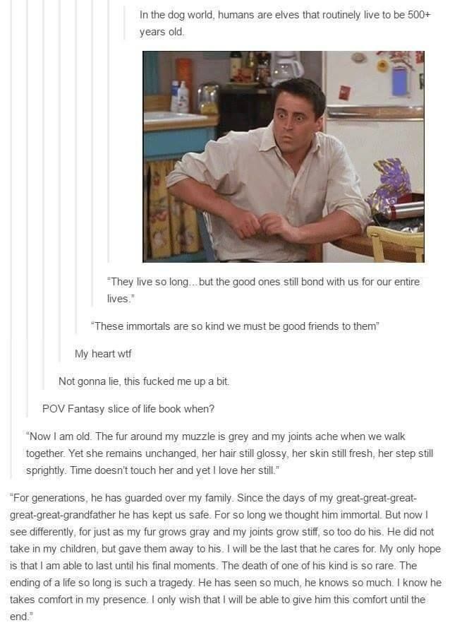 WholesomeMemes (@wholesomememe) on Twitter photo 