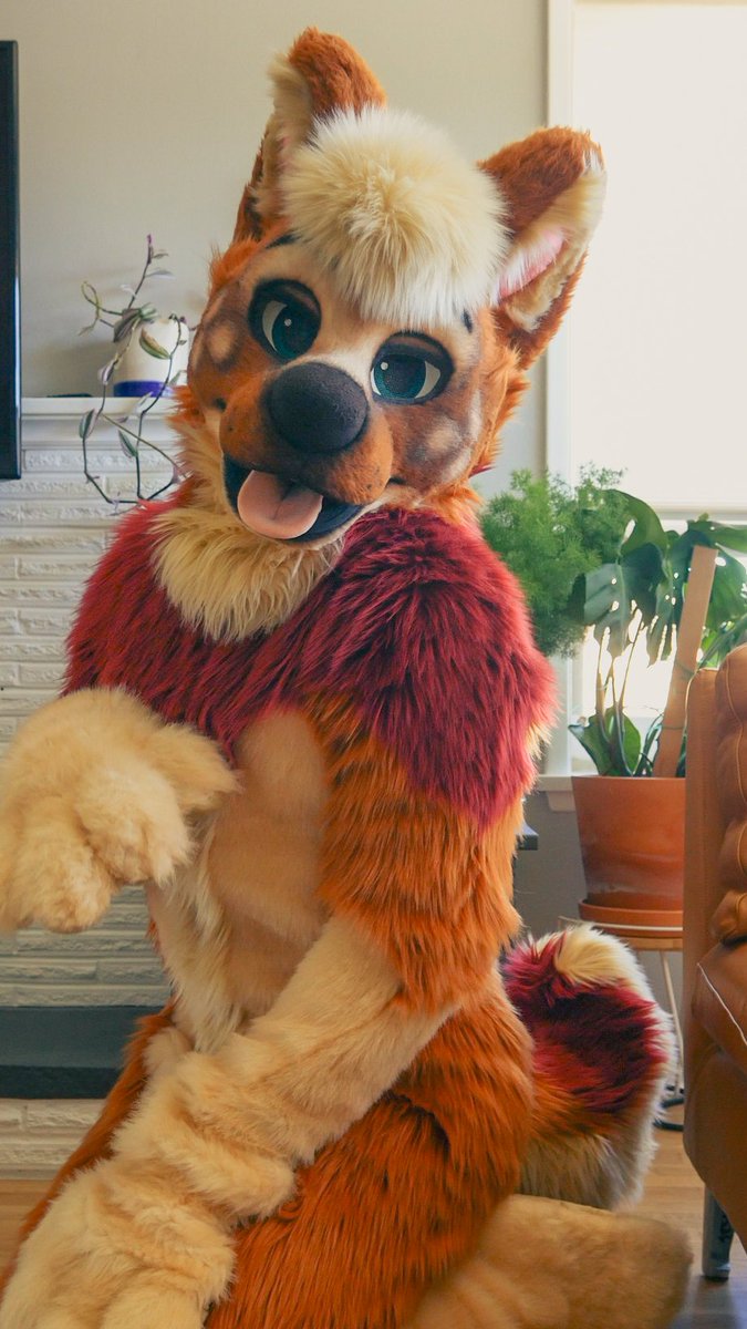 Sitting pretty like the good boy I am for #FursuitFriday 🐶