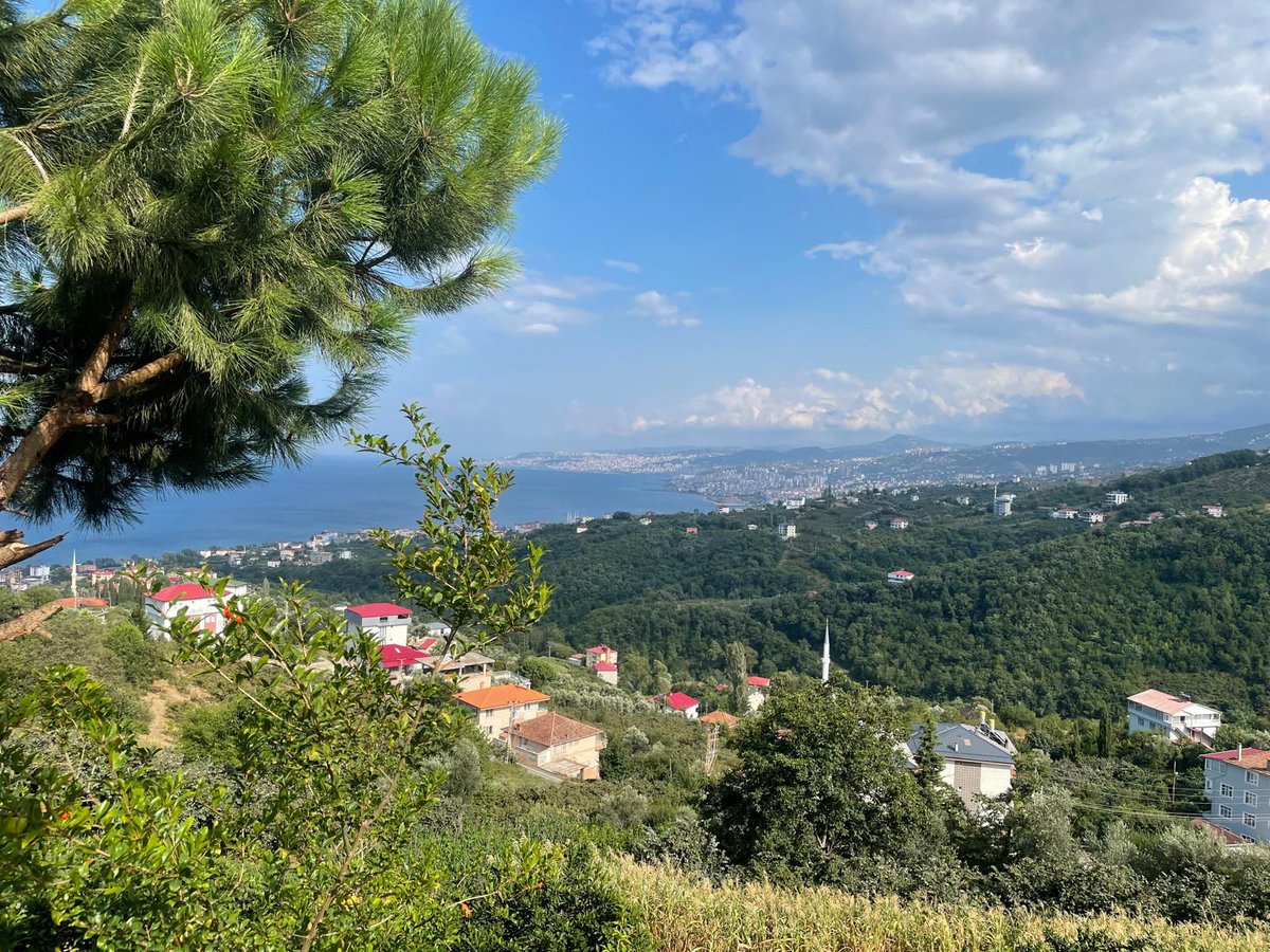 Bizi cennetine çağıran Allah bize dünya Cennetlerinin butlanını bildirerek yalnızlığımızın izalesine imkân veriyor ✨