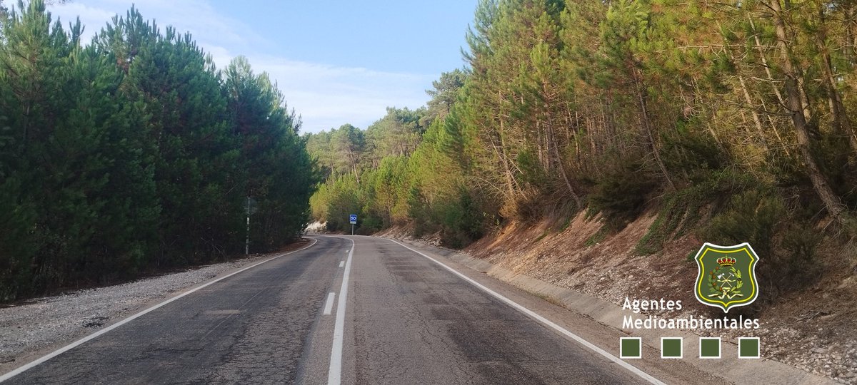 apamcyl's tweet photo. Entre malas noticias vamos a hablar de los #NoIncendios
Semana pasada BU-925
Vehículo baja un pequeño puerto en zona 10.000 ha.
🌲🌲🔥🚐🔥🌲🌲salió ardiendo. 📷 vegetación que encontró en la calzada
🌲🌲🌲🌲🌲
Bajo 200 🔥🚐 metros hasta una curva limpia. 👩🚒 Era Bombero👏👏👏👏👏 https://t.co/oJWm4DnK2s